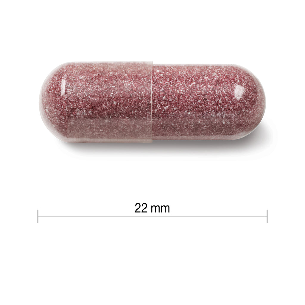 Jamieson Cranberry Complex 500mg 60 - DrugSmart Pharmacy