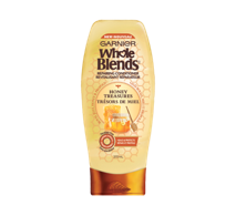 Garnier Whole Blends Honey Treasure Cond 370ml - DrugSmart Pharmacy